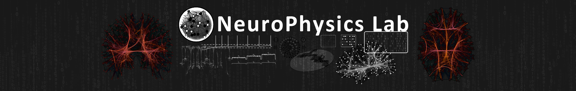 NeuroPhysics Lab: developing data-driven complex systems' theories